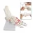1:1 Human Foot Joint Skeleton Anatomy Model - Medical Science Teaching Tool [Foot Anatomy, Medical Model]
