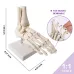 1:1 Human Foot Skeleton Anatomy Model - Medical Science Teaching Tool [Foot Anatomy, Medical Model]