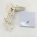 1:1 Human Foot Skeleton Anatomy Model - Medical Science Teaching Tool [Foot Anatomy, Medical Model]