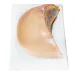 1:1 Human Female Breast Pathology Anatomy Model Kit - Detailed Table-Type Breast Lesion Model for Medical Education