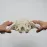 1:1 Movable Pelvis Model with Sacrum & Hip Bone - Female Pelvic Anatomy Model for Medical Study & Education