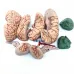 1:1 Skull Brain Anatomical Model with Cervical Spine - Removable Brain & Detailed Skeleton Structure [Skull Model, Brain Anatomy, Cervical Spine]