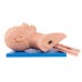 Intubation Model Human Trachea Teaching Training Model PVC With Teeth [Medical Training, Intubation Practice]