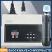 2-in-1 Shockwave Therapy Machine voor ED-behandeling en pijnverlichting | Niet-invasieve chiropractische massagetool