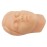 Micro Shaping Human Head Model - Silicone Simulation Facial Injection Suture Skin Pad Kit with Skeleton for Medical Training [Realistic, Injection Practice, Anatomy Learning]
