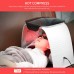 4 in 1 LED Photon Machine Salon Mask with 8 LED Colors, Cold Nano Spray, Hot Compress, UV Light for Skin Rejuvenation and Ca+ Absorption