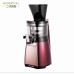Hurom Slow Juicer HU19SGM - Multifunctional Fruit & Vegetable Juicer, 43 RPM, 500ml Capacity, Gold & Red