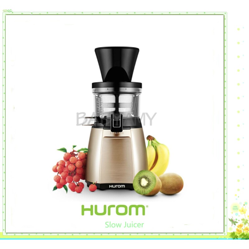 Hurom Slow Juicer HU19SGM - Multifunctional Fruit & Vegetable Juicer, 43 RPM, 500ml Capacity, Gold & Red