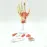 7-Part Human Hand Skeleton Model with Muscles, Ligaments, Nerves & Blood Vessels - Life-Size Medical Anatomy Teaching Tool