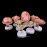 8-Piece Fetal Development Model Set - Anatomical Human Fetal Models for Medical Education [Fetal Model, Pregnancy Anatomy]