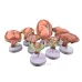 8-Piece Fetal Development Model Set - Anatomical Human Fetal Models for Medical Education [Fetal Model, Pregnancy Anatomy]