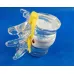 Anatomical Lumbar Vertebrae Model - Degenerative Disc Herniation & Spine Anatomy Demonstration [Medical Education, Spine Model]