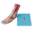 Human Foot Anatomy Model - Detailed Plantar Layer Muscle, Nerve, Vessel & Ligament Structure [Foot Joint, Muscle, Nerve Vessel]