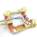 Colorectal Lesion Model - Human Colon Anatomy Pathological Diseases Model for Medical Education [Colon Model, Pathology, Medical Anatomy]
