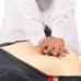 Half Body CPR Training Manikin - Professional Nursing Mannequin for First Aid & CPR Training [CPR, First Aid, Nursing Training]