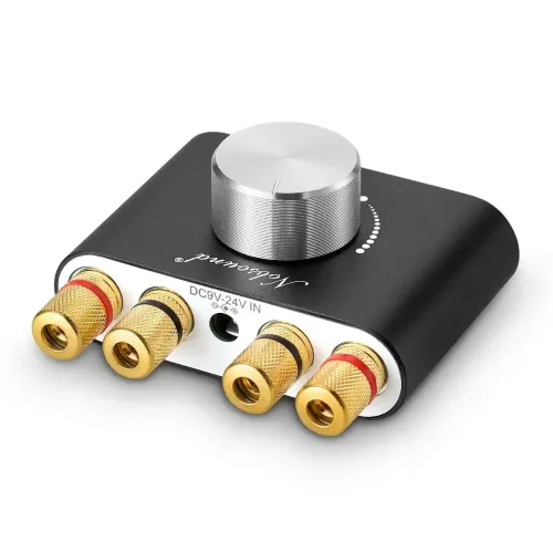 Mini Bluetooth 5.0 digitale versterker NS-01G Hi-Fi stereo home audio TPA3116 eindversterker 100W [Bluetooth 5.0, Hi-Fi geluid, 100W uitgang]