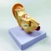 1.5X Enlarged Human Ear Anatomy Model - Detailed External & Inner Ear Structure for Medical Science Study