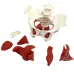Female Pelvis Model with Removable Uterus & Bladder - Anatomical Teaching Tool for Medical Education [Pelvic Floor, Uterus, Ovary]