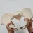 Flexible Female Pelvis Model - 1:1 Life-Size Anatomy Skeleton for Medical Education & School Use