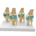 Four-Stage Human Pathological Knee Joint Anatomy Model - Medical Teaching Tool [Knee Anatomy, Pathology Model]