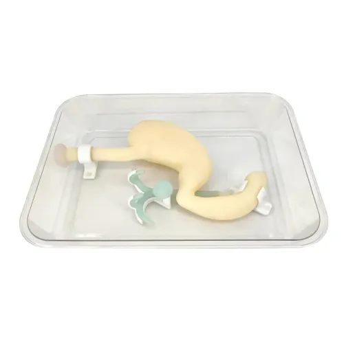 Gasztroszkóp ERCP Scope Training Model a Gastroduodenalis szimuláció és az eperendszer emésztési gyakorlata