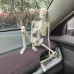 45 cm-es emberi csontváz modell - anatómiai autódekorációs medál, Halloween-ajándék, rugalmas ízületek, környezetbarát gyanta