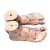 20cm hoogwaardige voetacupunctuurmodelset met gedetailleerde Engelse handleiding - 2 stuks voetacupunctuurpunt-lestool [voetacupunctuur, acupunctuurpuntmodel]