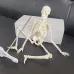 45 cm-es emberi csontváz modell - anatómiai autódekorációs medál, Halloween-ajándék, rugalmas ízületek, környezetbarát gyanta