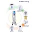Ashe 6-in-1 Super Bubble Dermabrasion Machine | Ultrasonic Therapy, Oxygen Sprayer, Microdermabrasion for Deep Skin Cleansing & Rejuvenation