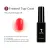 Frosted Top Coat Gel  -US $69.33