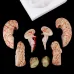 Disassembled Anatomical Human Brain Model - 8-Part Life Size Medical Teaching Tool for Anatomy Study [Brain Model, Anatomy Tool]