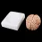 Disassembled Anatomical Human Brain Model - 8-Part Life Size Medical Teaching Tool for Anatomy Study [Brain Model, Anatomy Tool]