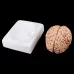 Disassembled Anatomical Human Brain Model - 8-Part Life Size Medical Teaching Tool for Anatomy Study [Brain Model, Anatomy Tool]