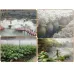 5000ml/h 10 Head Ultrasonic Air Humidifier Mist Maker Fogger for Greenhouse, Hydroponics, DIY DC48V