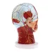 Head Median Sagittal Teaching Model - 3D Nerves, Parotids & Cervical Spine Anatomy Model [Anatomy, Teaching, Medical]