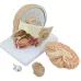 Human Brain Anatomy Model - 4-Part Medical Science Teaching Tool for Doctors & Students [Brain Model, Anatomy Study]