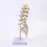 Emberi ágyéki gerincmodell – Részletes anatómiai modell orvosi oktatáshoz és demonstrációhoz [Lumbális gerinc, orvosi modell]