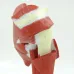 Human Shoulder Joint Anatomy Model - Detailed PVC Muscle & Ligament Structure for Medical Study & Display [Shoulder Joint, Anatomy Model]