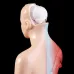Human Torso Body Model with Internal Organs - Anatomical Medical Teaching Tool for Students and Professionals [Anatomy, Medical Education]