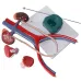 Human Urinary System Anatomy Model - Detailed PVC Medical Teaching Tool for Urology Education [Urinary System, Anatomy Model]
