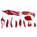 Human Muscle Structure Model - Upper & Lower Limbs with Blood Vessels & Nerves [Anatomy, Medical, Educational]