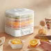 Intelligent Fruit Dryer - 5-Layer Thermostatic Food Dehydrator for Fruits, Vegetables, Meat & Pet Snacks [220V, 160W]