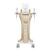 New Double Gold MFU + RF: Advanced Non-Surgical Face & Body Lifting Device [MFU, RF, Anti-Aging]
