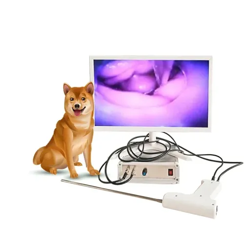 캐나인 비주얼 AI Gu & TCI 인공수정 시스템 - 고정밀도 개 번식 도구 [캐나인 AI, TCI 인공수정]