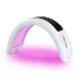 7 Color LED Light Spectrometer for Acne Treatment & Skin Rejuvenation | Red Blue Light Phototherapy Machine for Face & Body