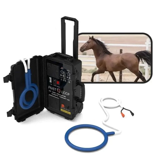 PEMF Equine Loop Magnetisch Therapie Apparaat voor Behandeling van Paardenhakziekte en Fysiotherapie