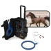 PEMF Equine Loop Magnetisch Therapie Apparaat voor Behandeling van Paardenhakziekte en Fysiotherapie