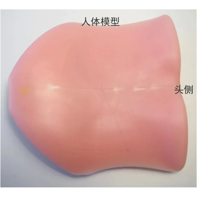 1:1 Human Back Model for PTED Training - Soft, Punctureable, Anatomically Accurate [Human Back Model, PTED Training]