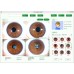 Digitale Iridologie Camera - 8MP Iris Analyzer met Auto Iris Analyse Software, Gezondheidstoestand Checker [Iridologie, Iris Analyzer]