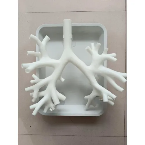 Fiberoptikus bronchiális modell – 4. szintű bronchiális nagyítás a bronchoszkópos tréninghez [bronhoszkópia, képzési modell]